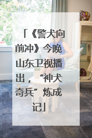 《警犬向前冲》今晚山东卫视播出，“神犬奇兵”炼成记