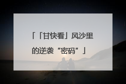 「甘快看」风沙里的逆袭“密码”