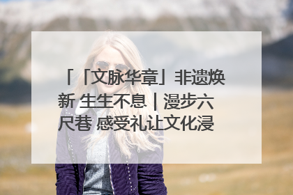 「文脉华章」非遗焕新 生生不息｜漫步六尺巷 感受礼让文化浸润的“巷”往生活