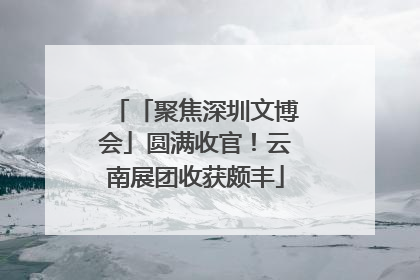 「聚焦深圳文博会」圆满收官！云南展团收获颇丰