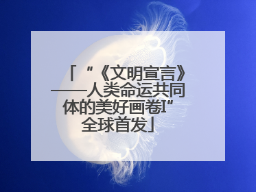 “《文明宣言》——人类命运共同体的美好画卷I”全球首发