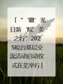 “‘徽’光日新‘皖’美之行”2025皖台基层交流活动启动仪式在芜举行
