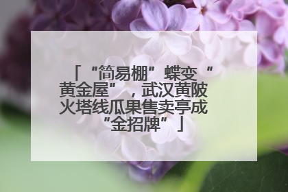 “简易棚”蝶变“黄金屋”，武汉黄陂火塔线瓜果售卖亭成“金招牌”