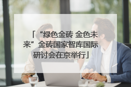 “绿色金砖 金色未来”金砖国家智库国际研讨会在京举行
