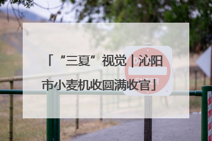 “三夏”视觉｜沁阳市小麦机收圆满收官
