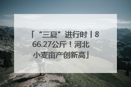 “三夏”进行时丨866.27公斤！河北小麦亩产创新高