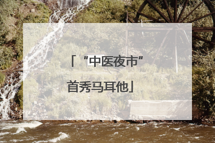 “中医夜市”首秀马耳他