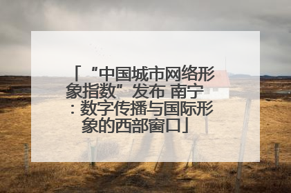 “中国城市网络形象指数”发布 南宁：数字传播与国际形象的西部窗口
