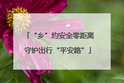“乡”约安全零距离 守护出行“平安路”