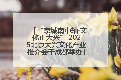 “京城南中轴·文化正大兴” 2025北京大兴文化产业推介会于成都举办