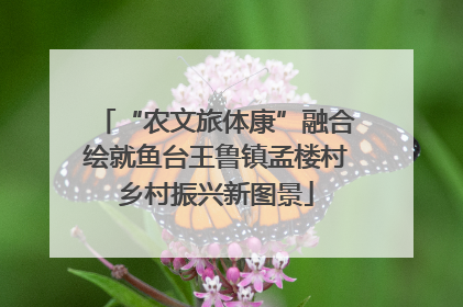 “农文旅体康”融合绘就鱼台王鲁镇孟楼村乡村振兴新图景
