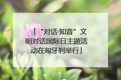“对话·知音”文明对话国际日主题活动在匈牙利举行