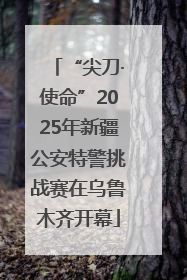 “尖刀·使命”2025年新疆公安特警挑战赛在乌鲁木齐开幕