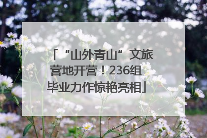“山外青山”文旅营地开营！236组毕业力作惊艳亮相