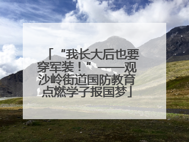 “我长大后也要穿军装！”——观沙岭街道国防教育点燃学子报国梦
