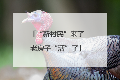 “新村民”来了 老房子“活”了