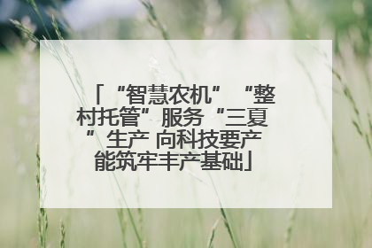 “智慧农机”“整村托管”服务“三夏”生产 向科技要产能筑牢丰产基础