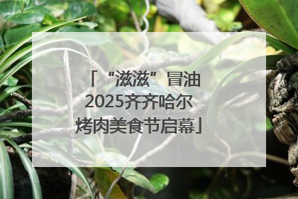 “滋滋”冒油 2025齐齐哈尔烤肉美食节启幕