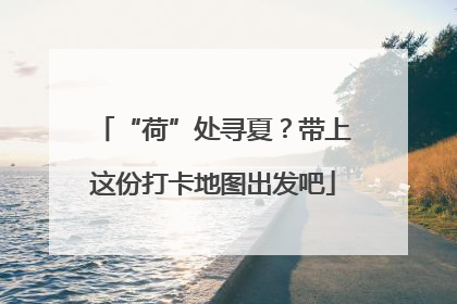 “荷”处寻夏？带上这份打卡地图出发吧
