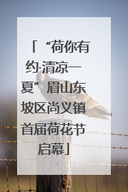 “荷你有约·清凉一夏”眉山东坡区尚义镇首届荷花节启幕