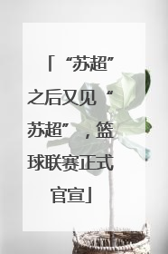 “苏超”之后又见“苏超”，篮球联赛正式官宣