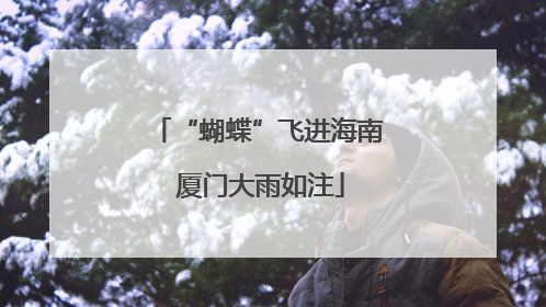 “蝴蝶”飞进海南 厦门大雨如注