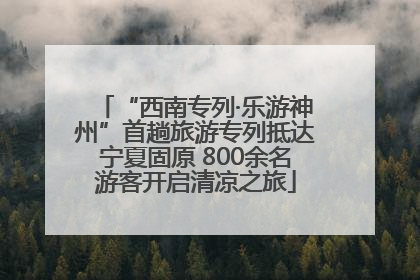 “西南专列·乐游神州”首趟旅游专列抵达宁夏固原 800余名游客开启清凉之旅
