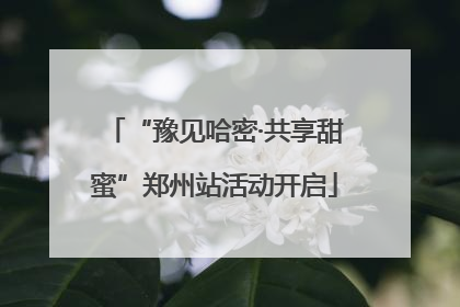 “豫见哈密·共享甜蜜”郑州站活动开启