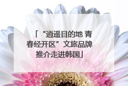 “逍遥目的地 青春经开区”文旅品牌推介走进韩国