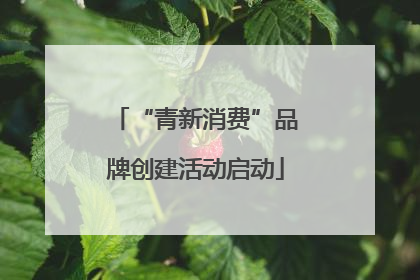 “青新消费”品牌创建活动启动