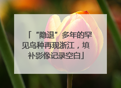 “隐退”多年的罕见鸟种再现浙江，填补影像记录空白