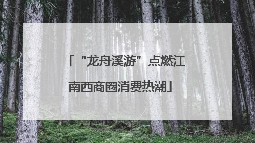 “龙舟溪游”点燃江南西商圈消费热潮