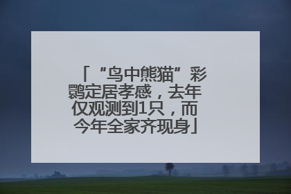 “鸟中熊猫”彩鹮定居孝感，去年仅观测到1只，而今年全家齐现身