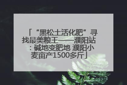 “黑松土活化肥”寻找最美粮王——濮阳站：碱地变肥地 濮阳小麦亩产1500多斤