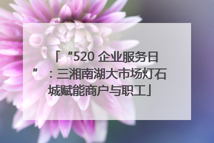 “520 企业服务日”：三湘南湖大市场灯石城赋能商户与职工