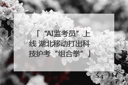 “AI监考员”上线 湖北移动打出科技护考“组合拳”