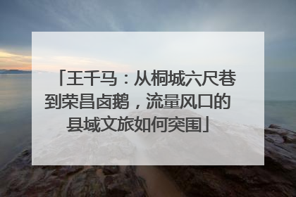 王千马：从桐城六尺巷到荣昌卤鹅，流量风口的县域文旅如何突围
