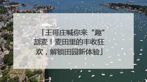 王哥庄喊你来“趣”割麦！麦田里的丰收狂欢，解锁田园新体验