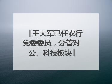 王大军已任农行党委委员，分管对公、科技板块