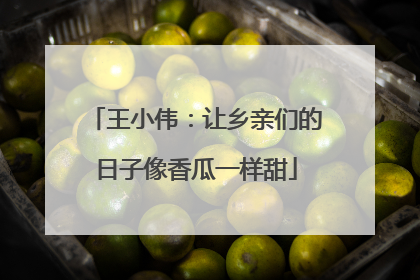 王小伟：让乡亲们的日子像香瓜一样甜