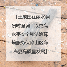 王成国在丽水调研时强调：以更高水平安全和法治环境服务保障山区海岛县高质量发展
