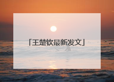 王楚钦最新发文