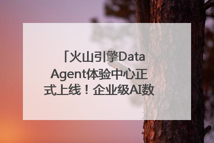 火山引擎Data Agent体验中心正式上线！企业级AI数据专家触手可及