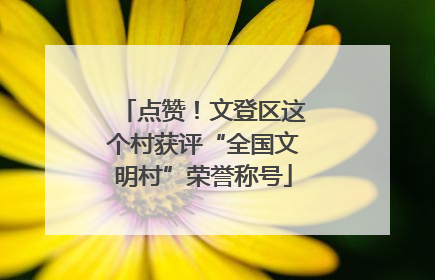 点赞！文登区这个村获评“全国文明村”荣誉称号