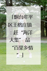 烟台牟平区王格庄镇：赶“海洋大集” 品“百果乡情”