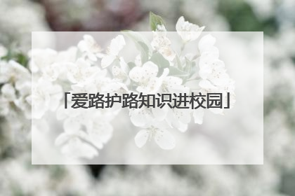 爱路护路知识进校园