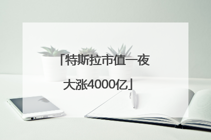特斯拉市值一夜大涨4000亿