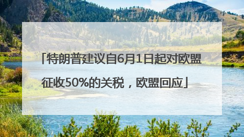 特朗普建议自6月1日起对欧盟征收50%的关税，欧盟回应