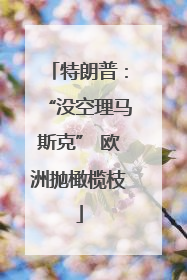 特朗普：“没空理马斯克” 欧洲抛橄榄枝