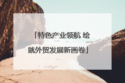 特色产业领航 绘就外贸发展新画卷